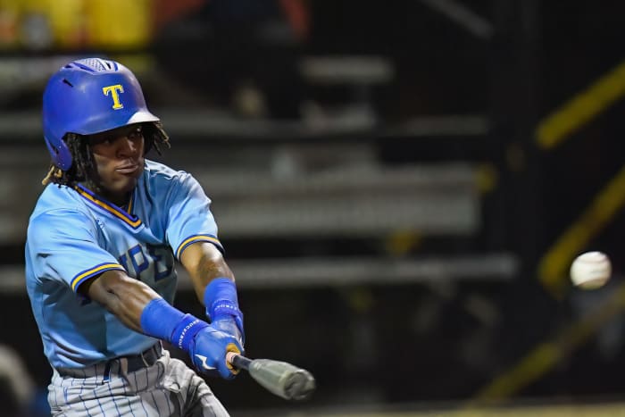 SUN_8845-DeNoiseAI-low-light